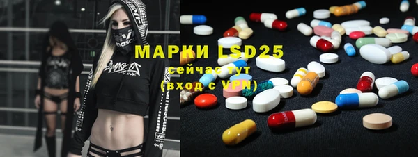 индика Аша