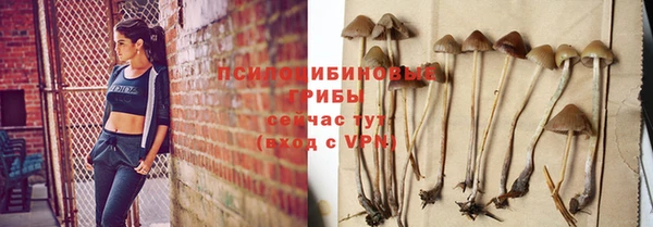 метадон Михайловск