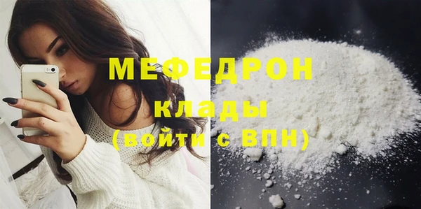 индика Аша