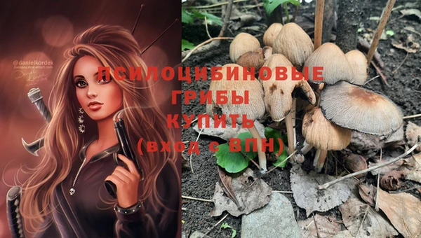 винт Ахтубинск